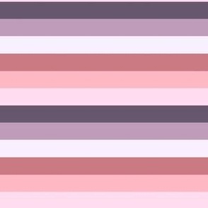 Stripes -Pink and Purple  - Standard 6x6