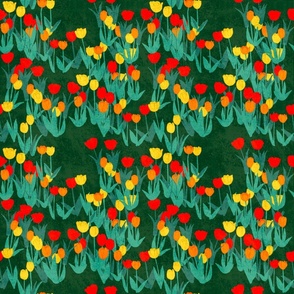 Tulips Fields