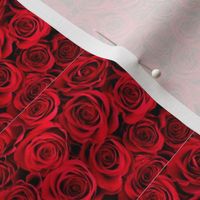 Roses Fabric 