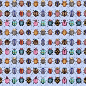 Mosaic Ladybird Beetles