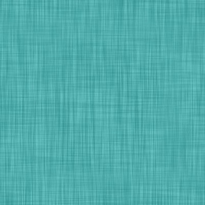 Turquoise - Textured Solid Coordinate