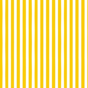 Stripes yellow small scale