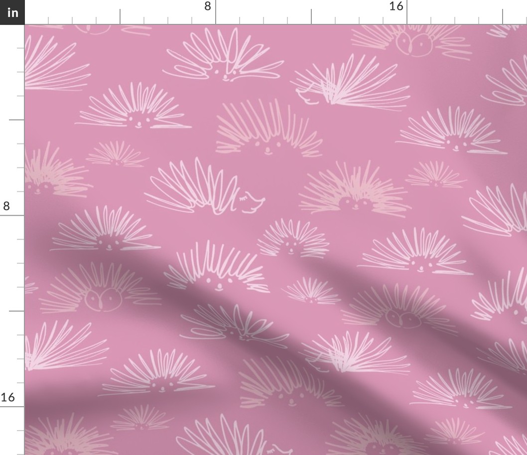 hedgehog squiggles pink medium