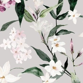 Jumbo / Jasmine Floral Vines / Early Gray