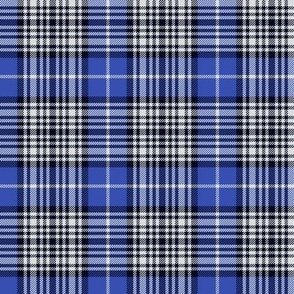 Napier tartan, 3" bright, c. 1880 from Clans Originaux