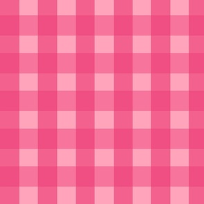 Pink and light pink gingham plaid