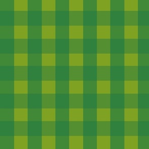 Kelly green and lime green gingham