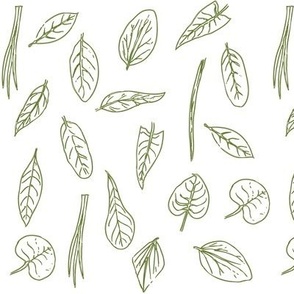Identi-leaf