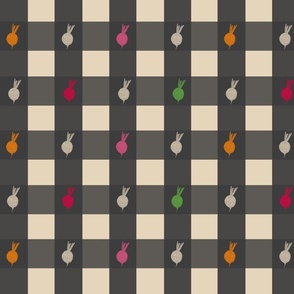Rainbow beets charcoal gray and cream gingham