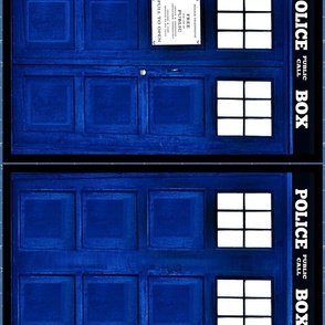 Blue doors (front and back panels)