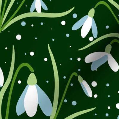 Snowdrops