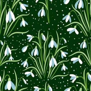 Snowdrops