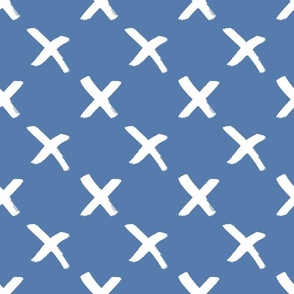 Everywhere: X Marks Blue