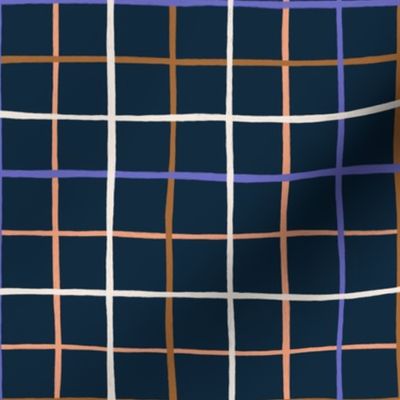 Multicoloured Sketchy Grid Navy