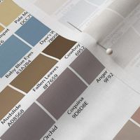 54 Inch Sherwin Williams Color Map (1) copy