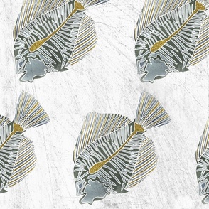 Priscacara  Fish Fossil // Gold and Green // Large