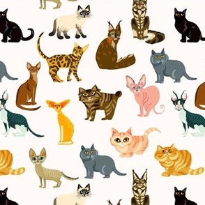 Cute cats in neutral colors
