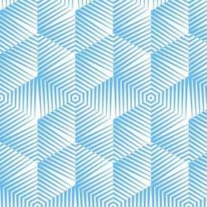 Op Art Hexagon Striped Star in Baby Blue Small Scale