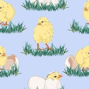 Fluffy Spring Chicks CW2