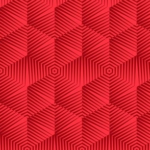 Op Art Hexagon Striped Star in Reds Small Scale