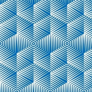 Op Art Hexagon Striped Star in White on Blue Small Scale