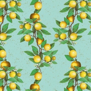 Lemon wallpaper