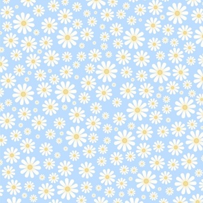 White Daisies on Cornflower Blue - XL