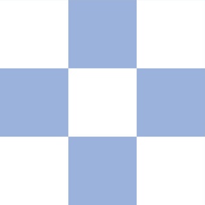 12 inch sky blue and white checkerboard - large
