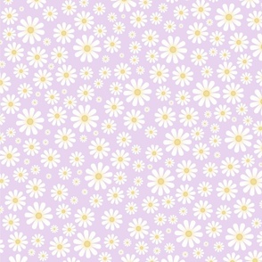 White Daisies on Lilac Purple - XL