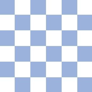 2 inch sky blue and white checkerboard - small