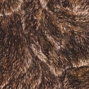 Brown Fur