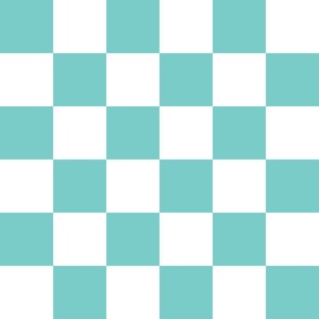 6 inch turquoise and white checkerboard - medium checkerboard print