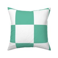 12 inch aqua and white checkerboard - large checkerboard print