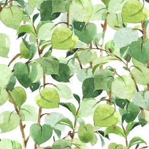 Watercolor Green Vine Leaves Greenery  Large