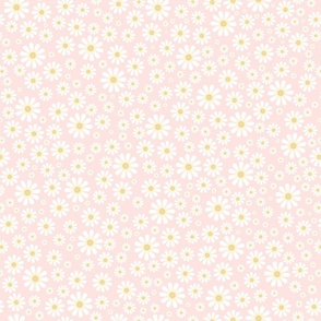 White Daisies on Baby Pink - Large