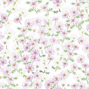 Cosmos Scattered Wildflower Botanical Print