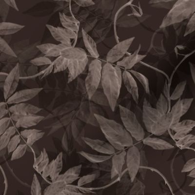 leaves_vine_chocolate_brown
