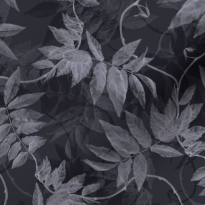 leaves_vine_cool_charcoal