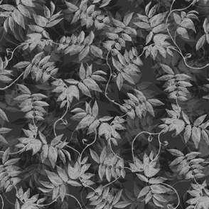 leaves_vine_black_gray