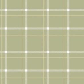 Thin white stripes plaid checked on green background