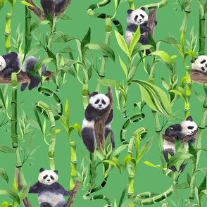 Peek-a-boo Pandas Green