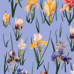 Blue Iris Garden Bed