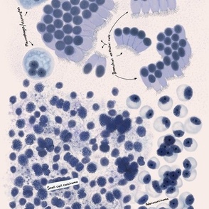 Cells from the human body prints are also available. 
Cytology,  pathology,  histology,  teaching and learning guide.  Use it on any science project.  
Other cell types are in the shop and in our site CytoNerd.com 