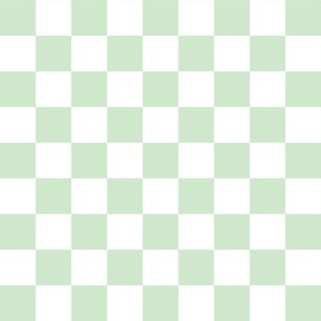 Two Inch Checks in Springtime Mint and White