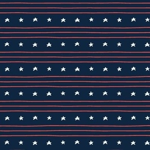 American Flag in Navy Blue