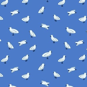 Seagulls in Bright Blue