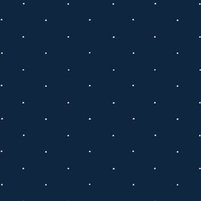 Stars in Navy Blue and White