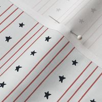 American Flag in White