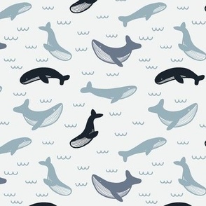 Whales White and Blue