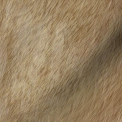 painted faux fur of a lion - large scale